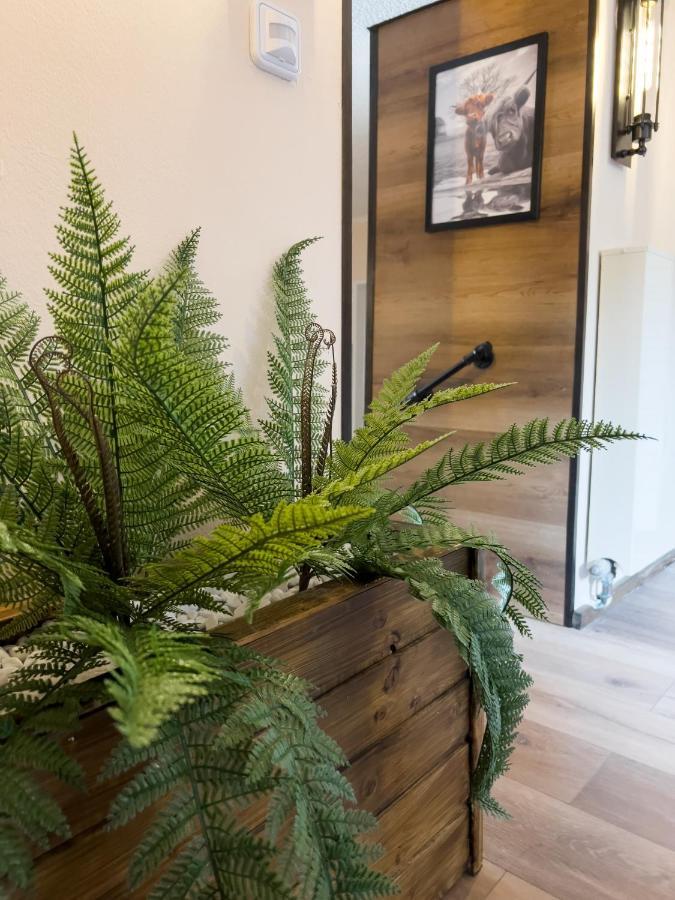 Fewo Ottobeurens Schmuckstueck: Gemuetlich-Stylische Wohnung 外观 照片